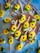 A collection of popsicles decorated with intricately crafted yellow flowers, resembling sunflowers, with green leaves. These popsicles are arranged both on a wooden circular board and scattered on a pastel blue and gray textured surface. Some small white daisy-like flowers are placed among the popsicles, enhancing the decorative appeal.