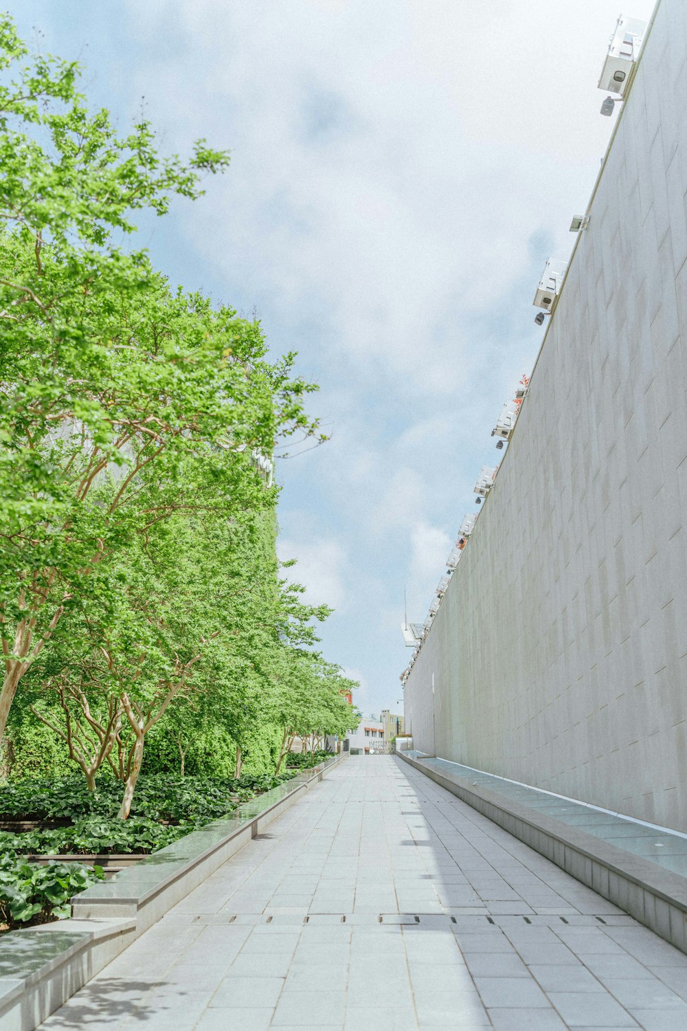 an empty walkway between two buildings and trees