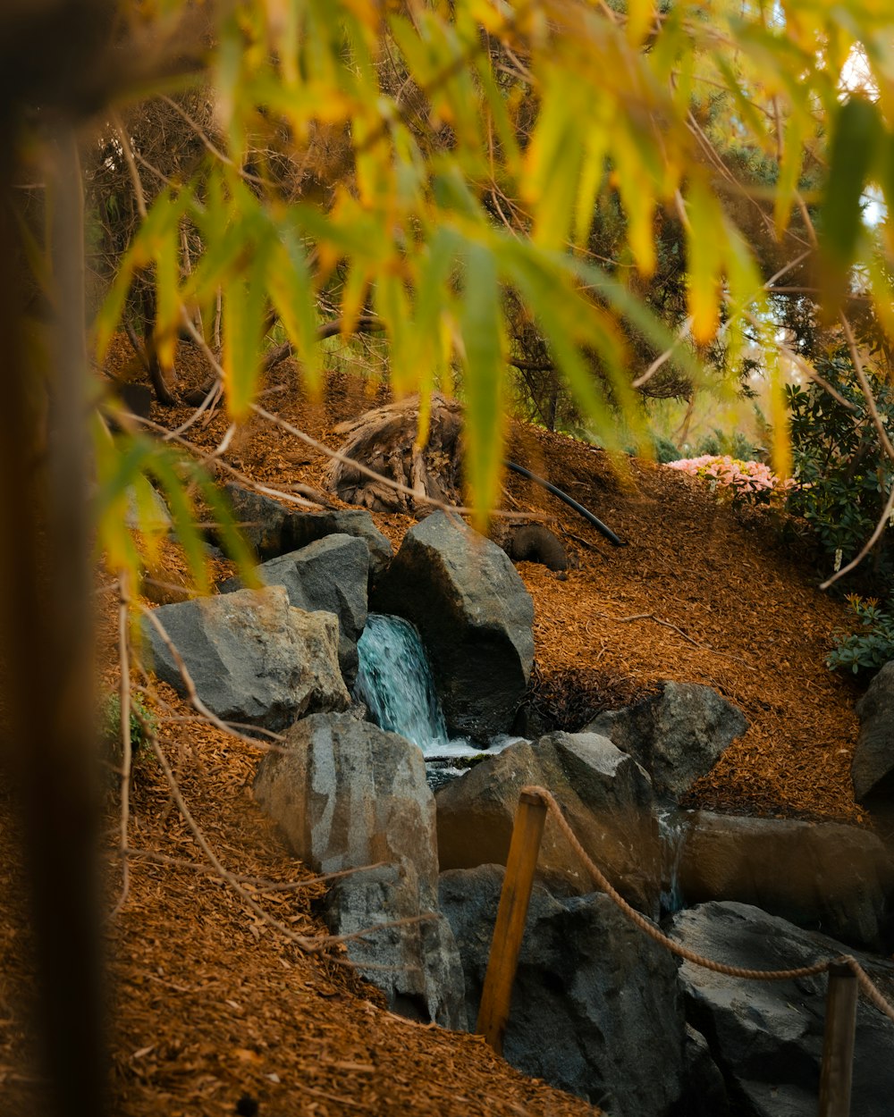 a small waterfall in the middle of a forest