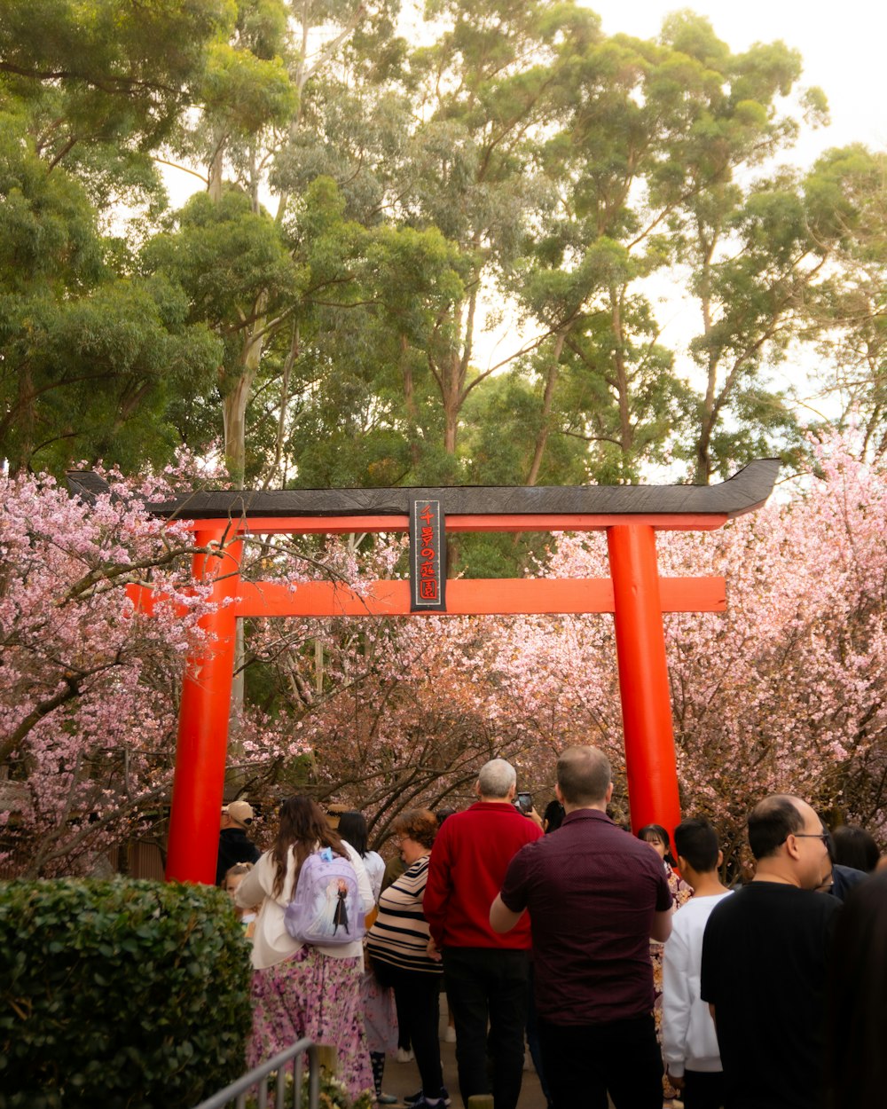 a group of people standing under a red tori tori tori tori tori tori tori tori