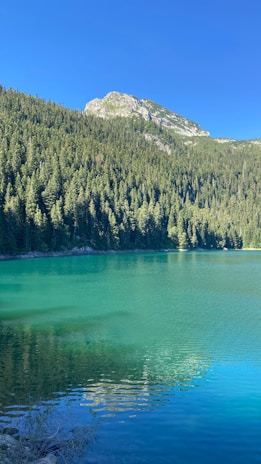 Aerial view of a serene mountain lake surrounded by lush green forests under a clear blue sky.