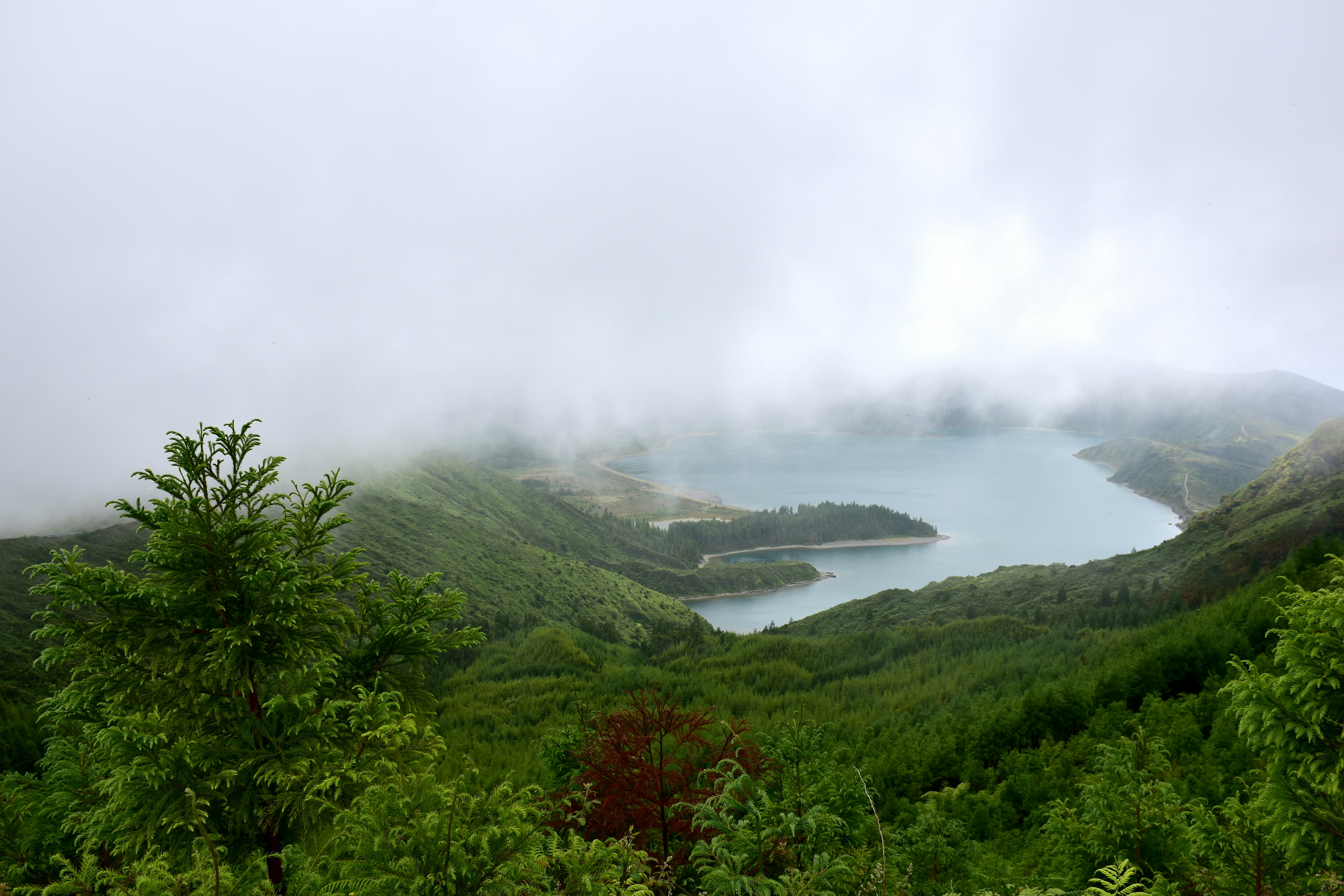a large body of water surrounded by lush green trees, A rising fog (weather condition)