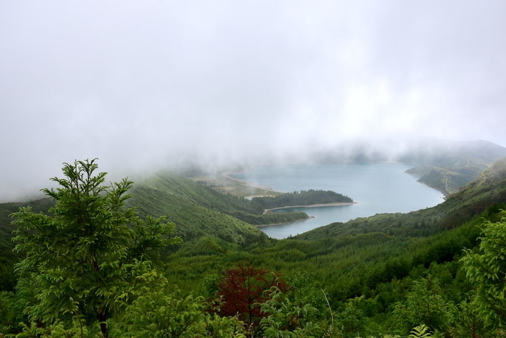 a large body of water surrounded by lush green trees