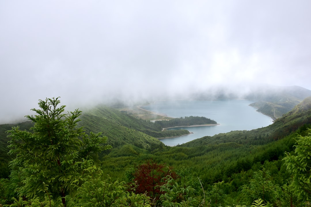 a large body of water surrounded by lush green trees, A rising fog (weather condition)