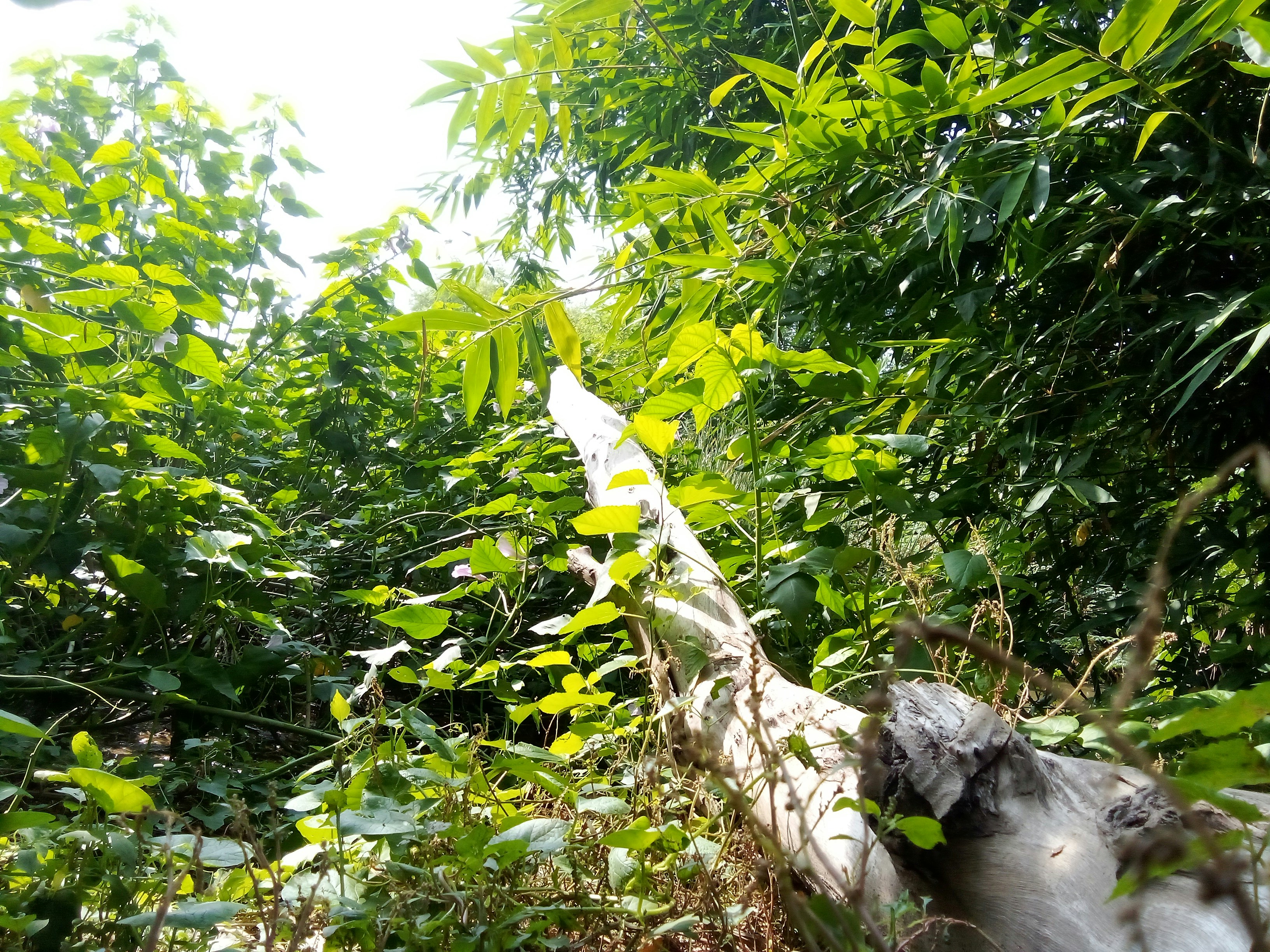 Photo by thedesignerpk