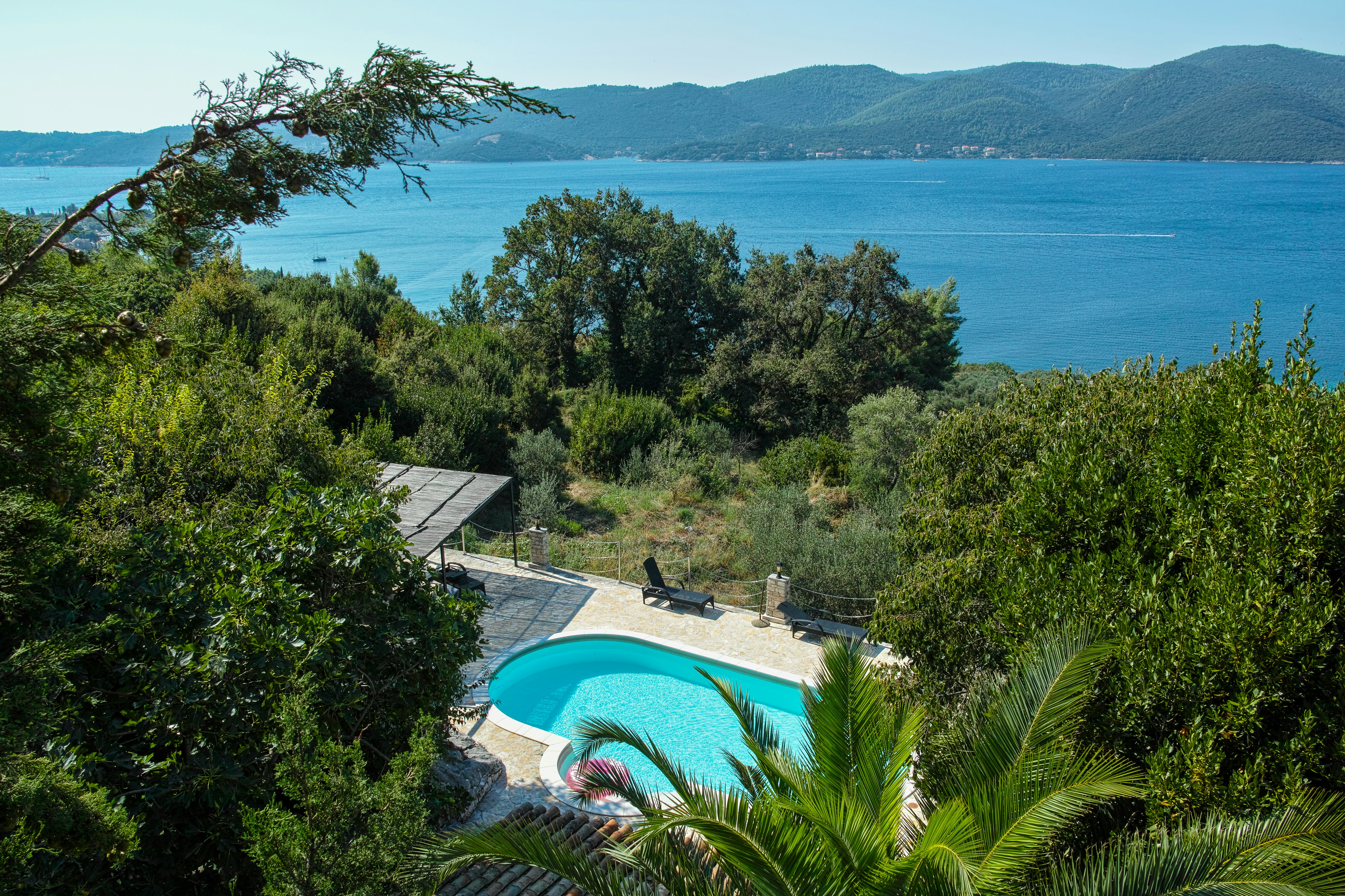 an aerial view of a pool surrounded by trees