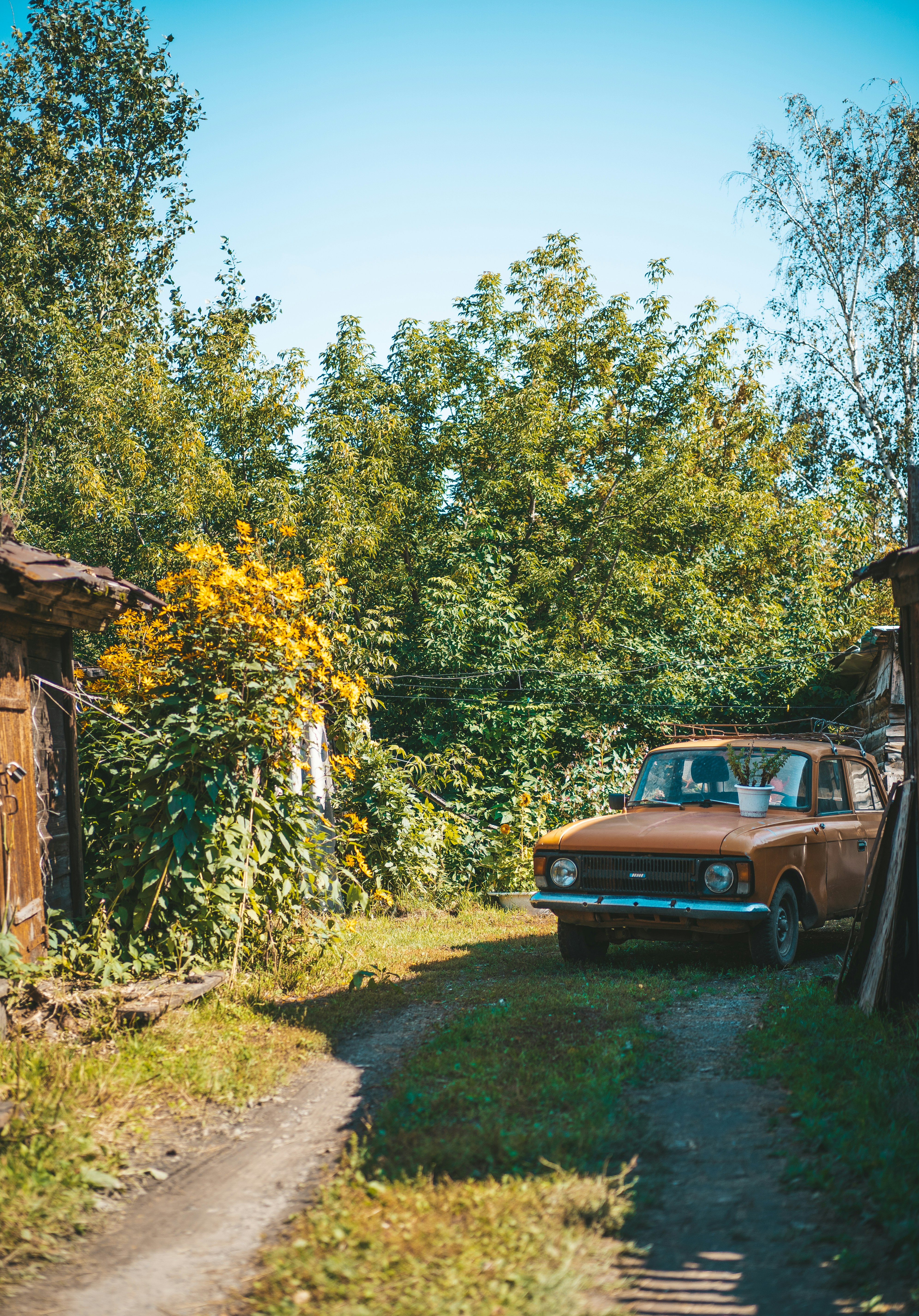 Photo by anamnesis33