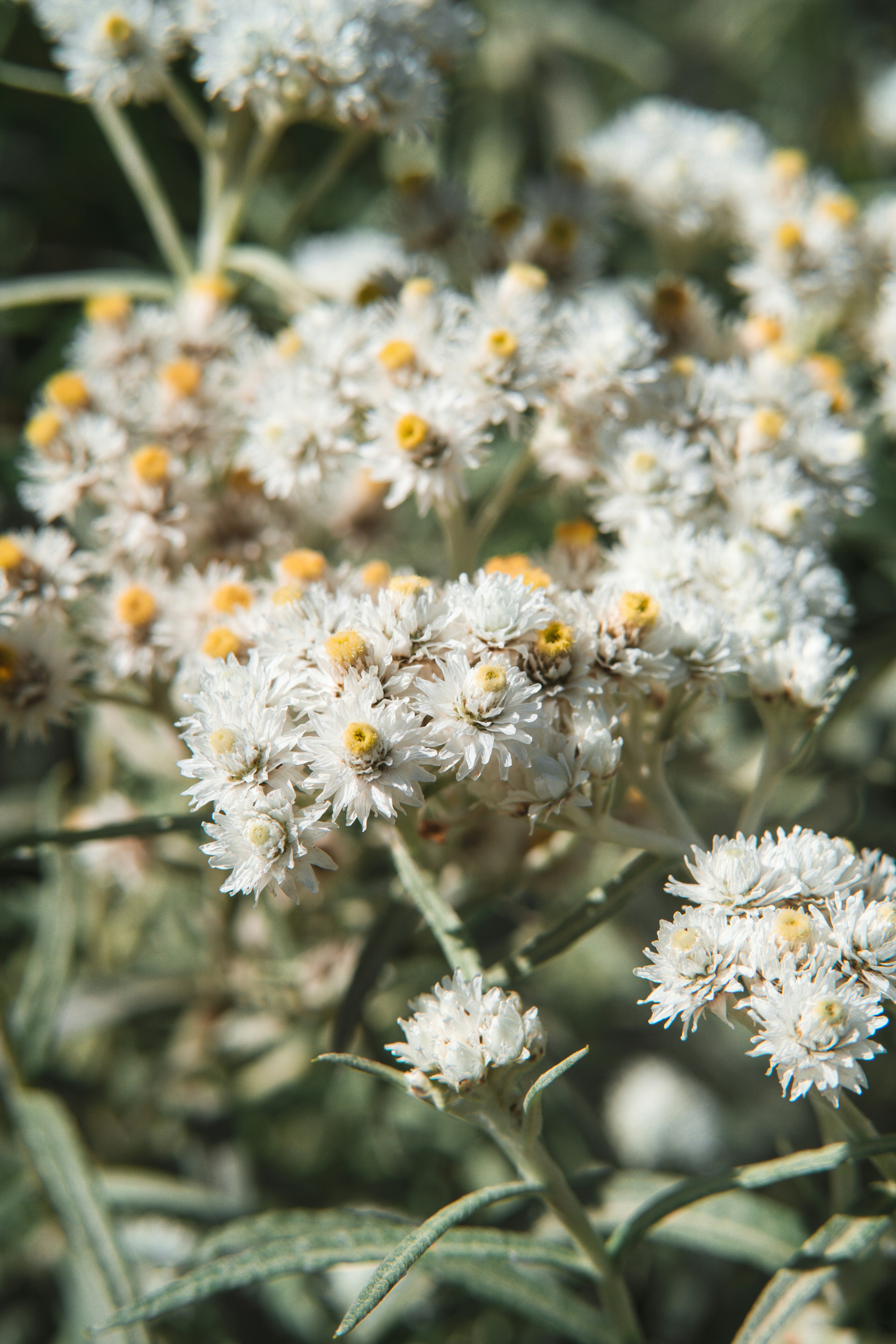 Photo by anamnesis33