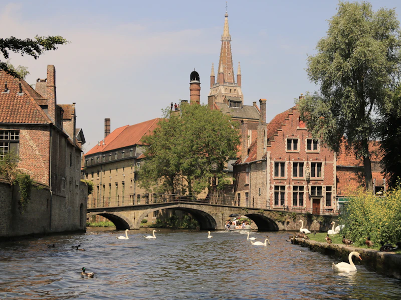 Top Sports Bars in Bruges to Watch the Match With the Crowd
