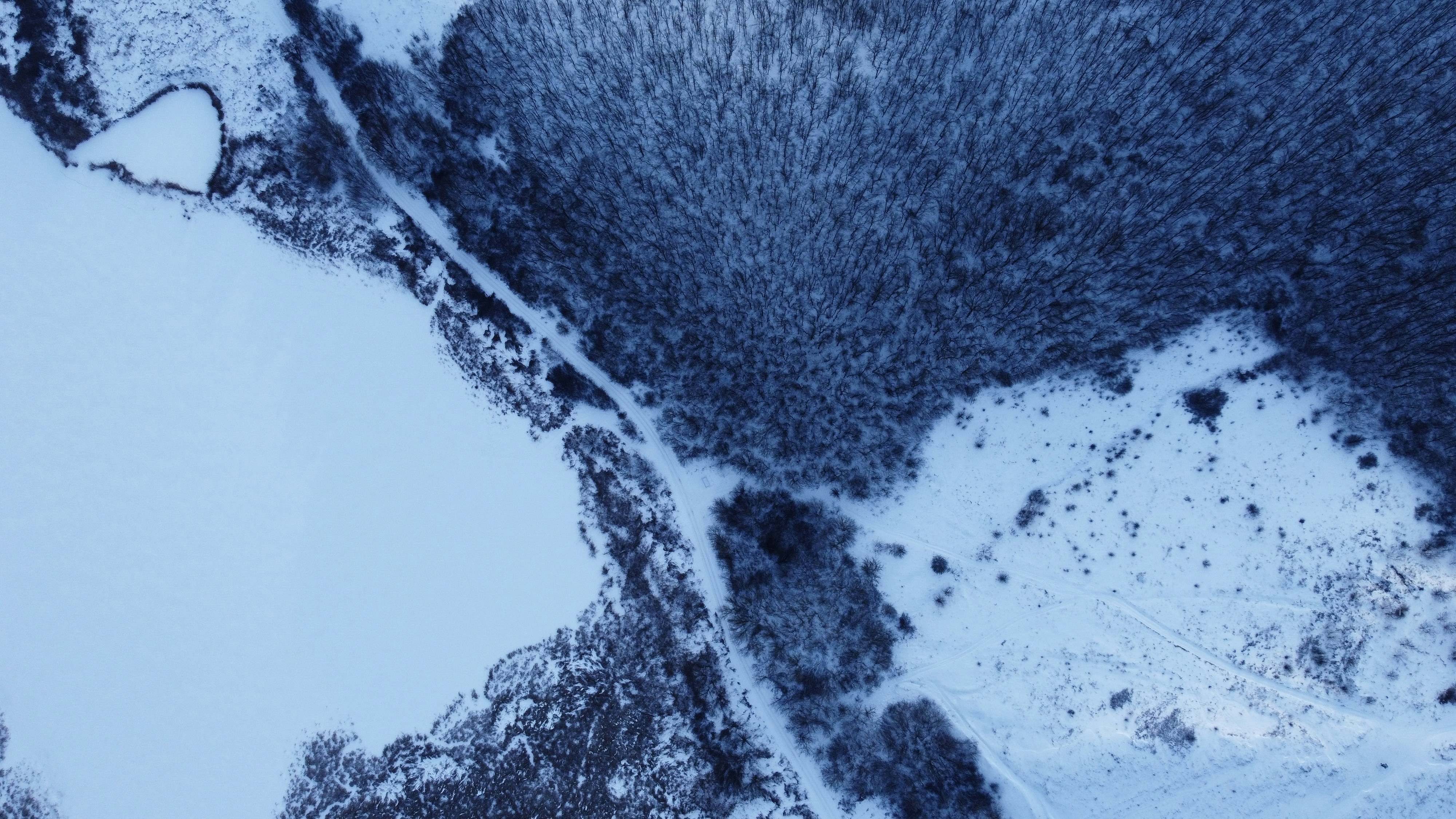 an aerial view of a snow covered forest
