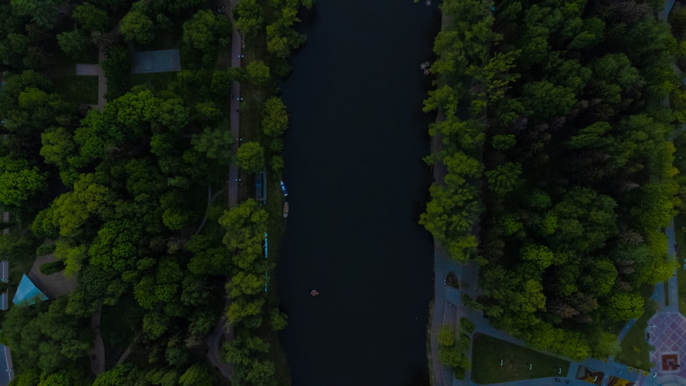 an aerial view of a river surrounded by trees