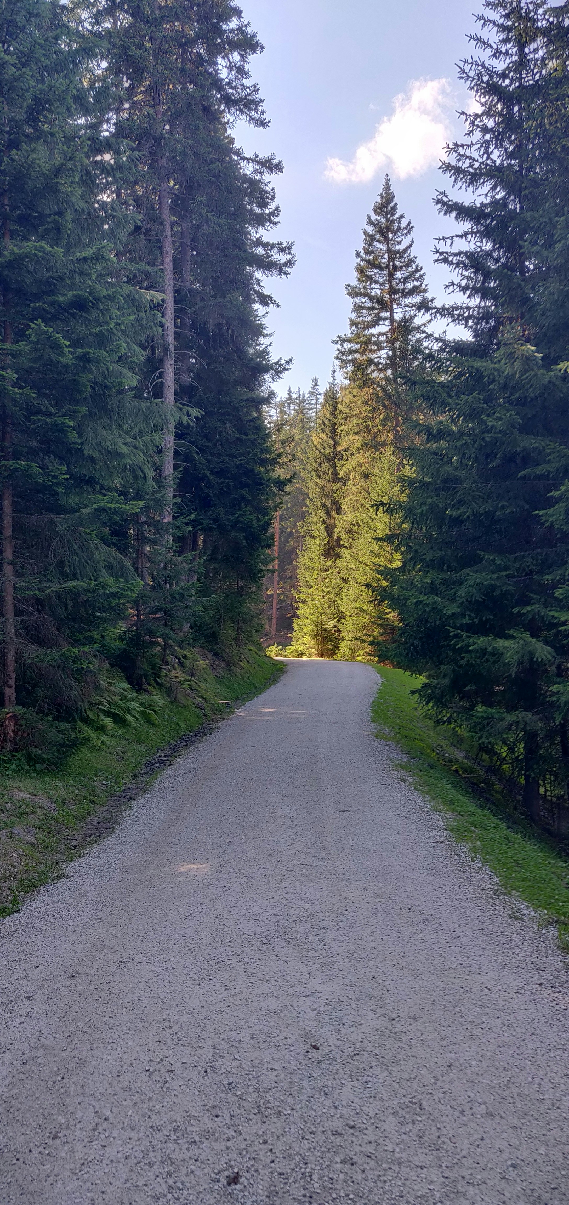 Photo by matemolnar88