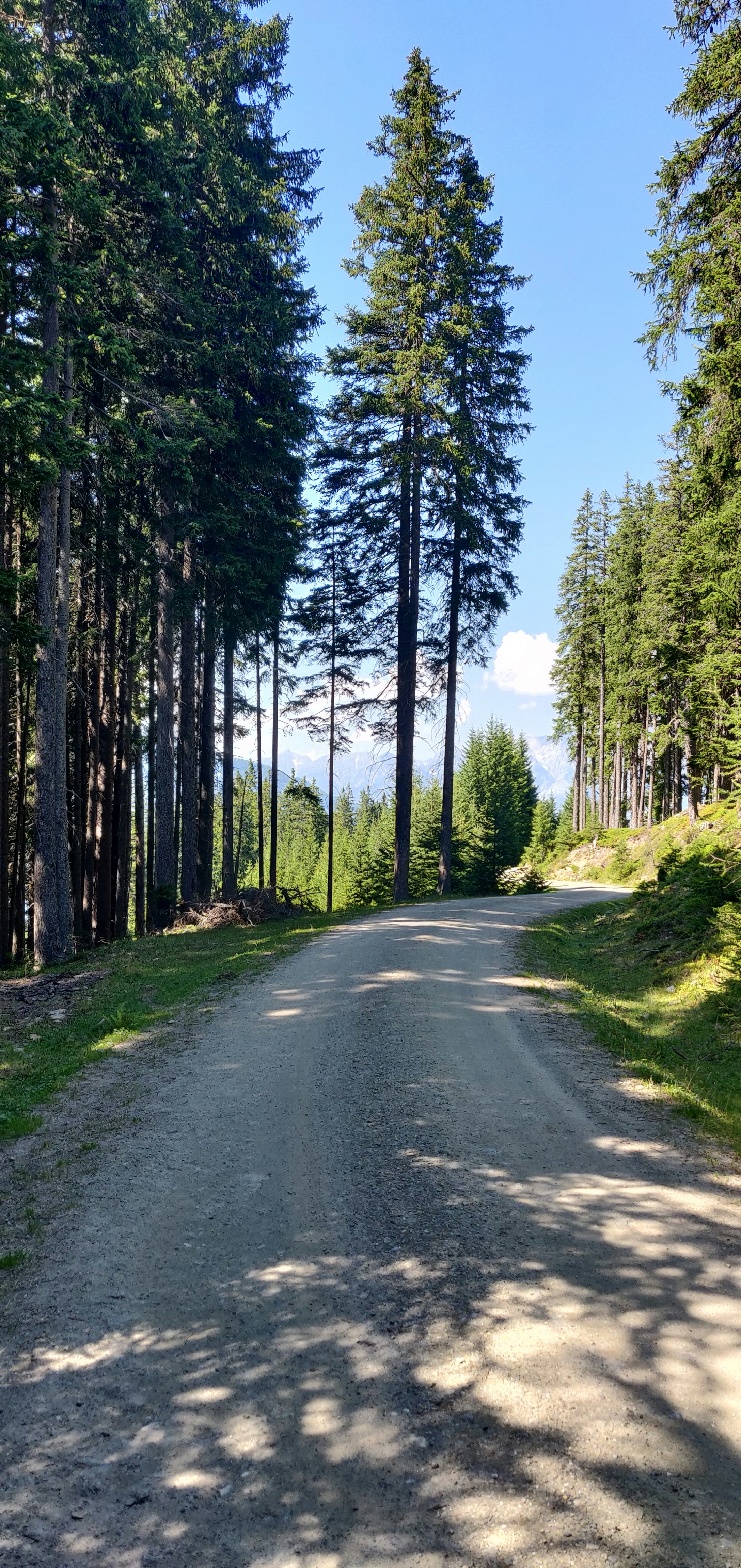 Photo by matemolnar88