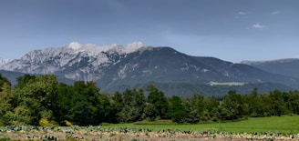 Majestic mountain range with lush green valleys under a clear blue sky.