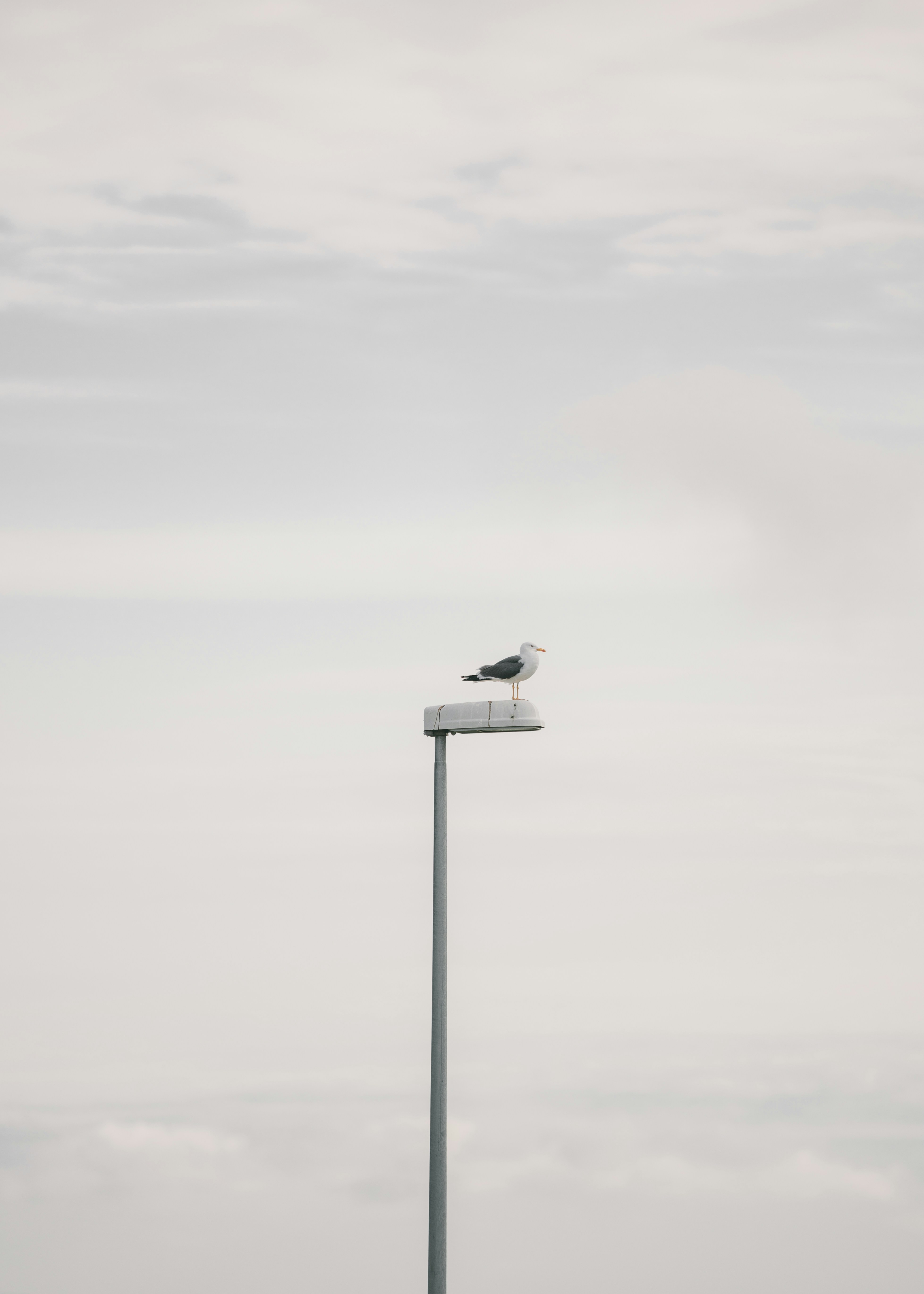 Photo by robertarnar