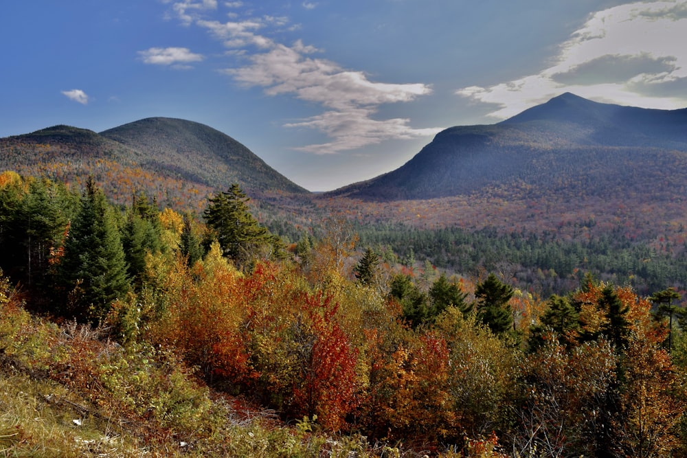 a scenic view of a mountain range in autumn