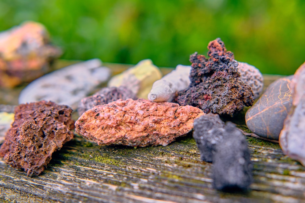 a bunch of rocks sitting on top of a wooden table