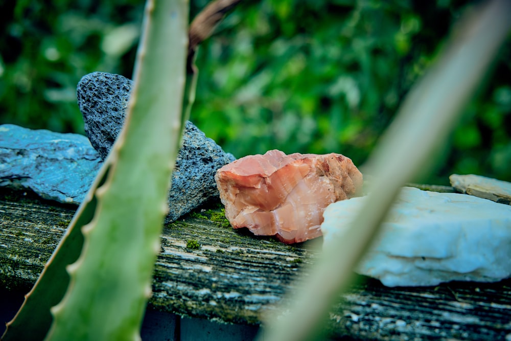 a piece of rock sitting on top of a wooden table