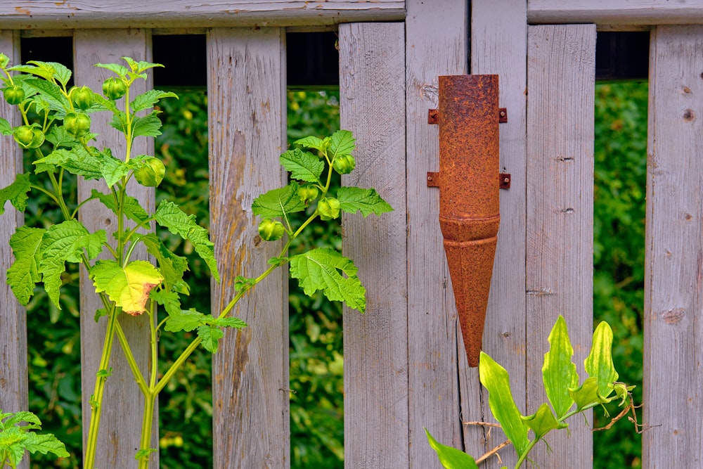 a wooden fence with a rusted umbrella on it