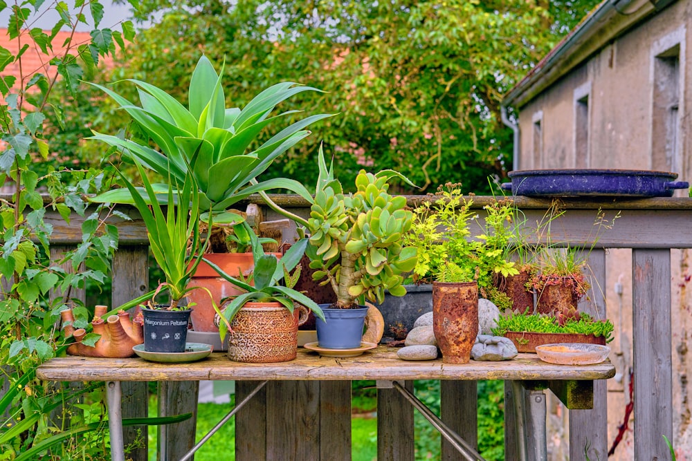 a wooden table topped with lots of potted plants