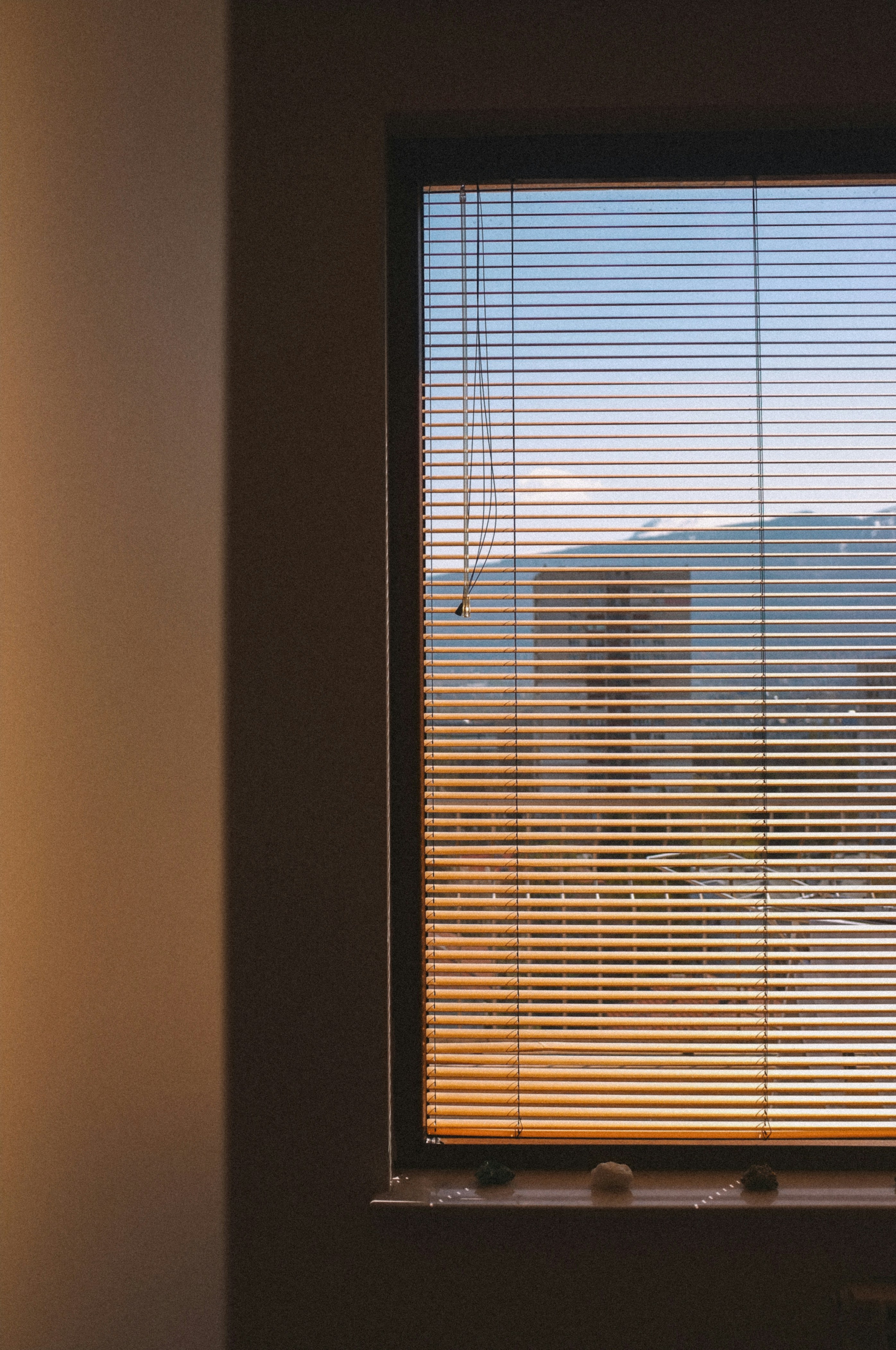 Premium Window Blinds