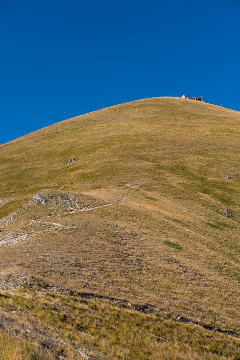 Una colina con algunos animales en la cima