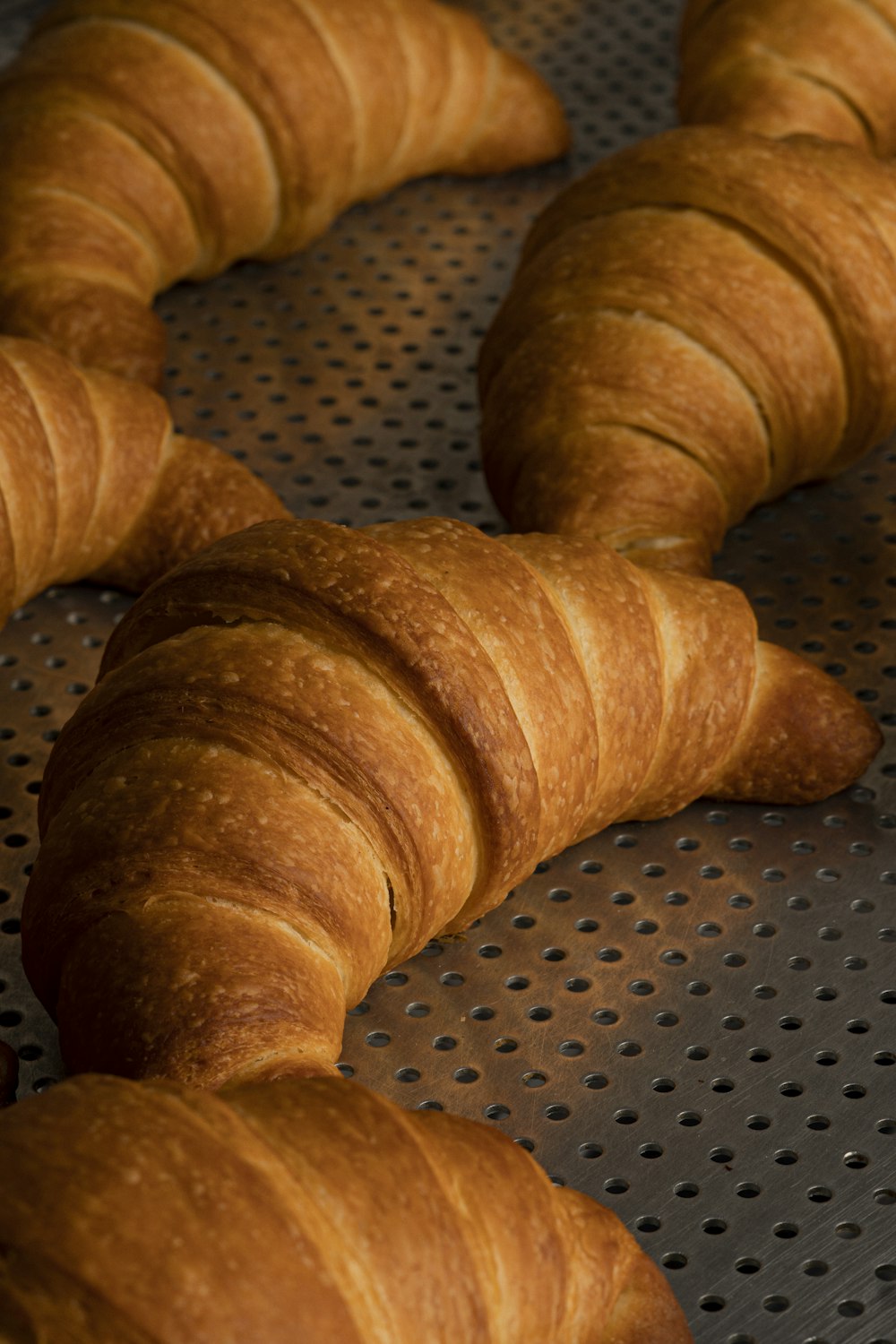 croissants on a baking sheet lined up in a row