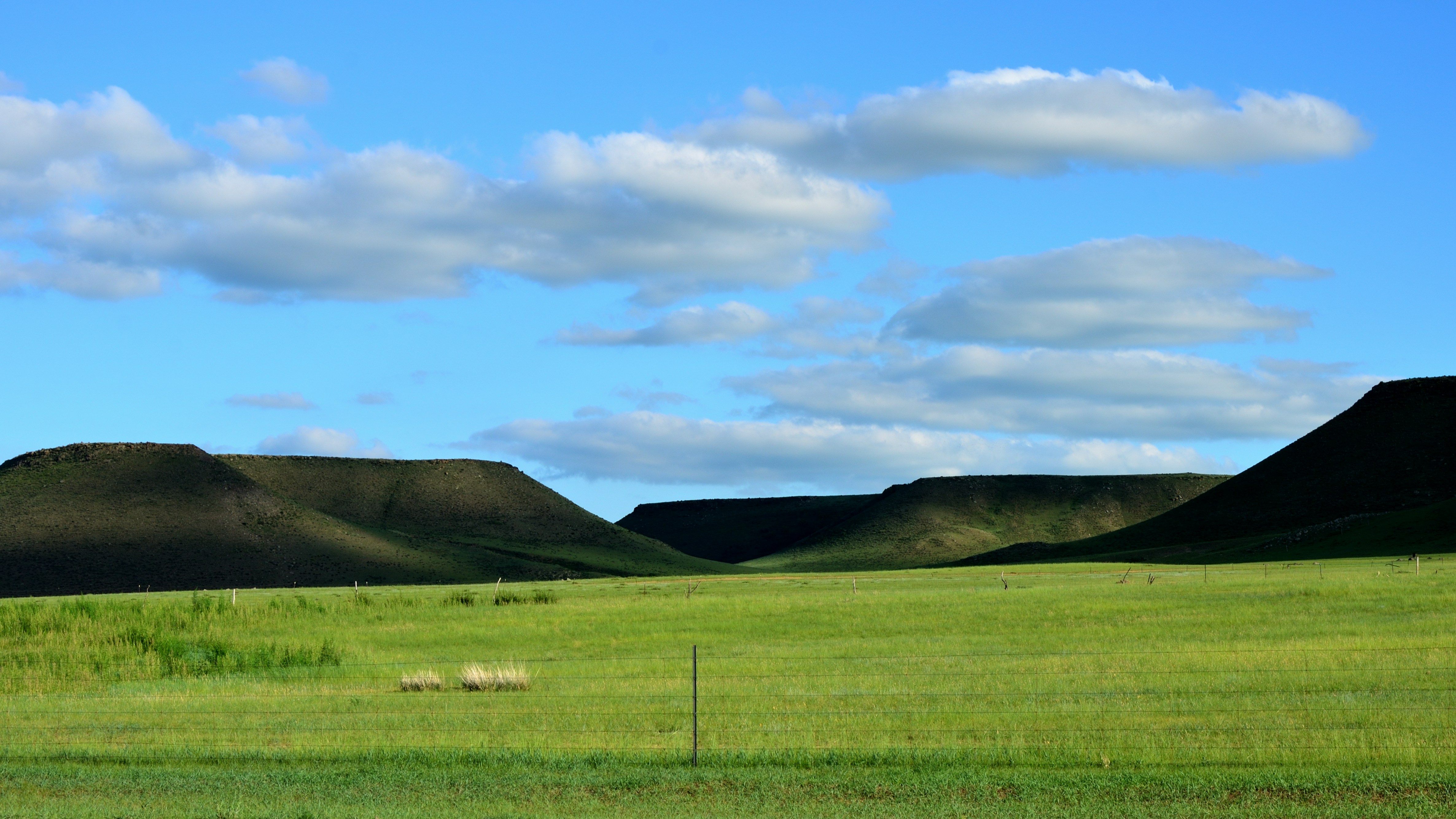 Photo by charleschina