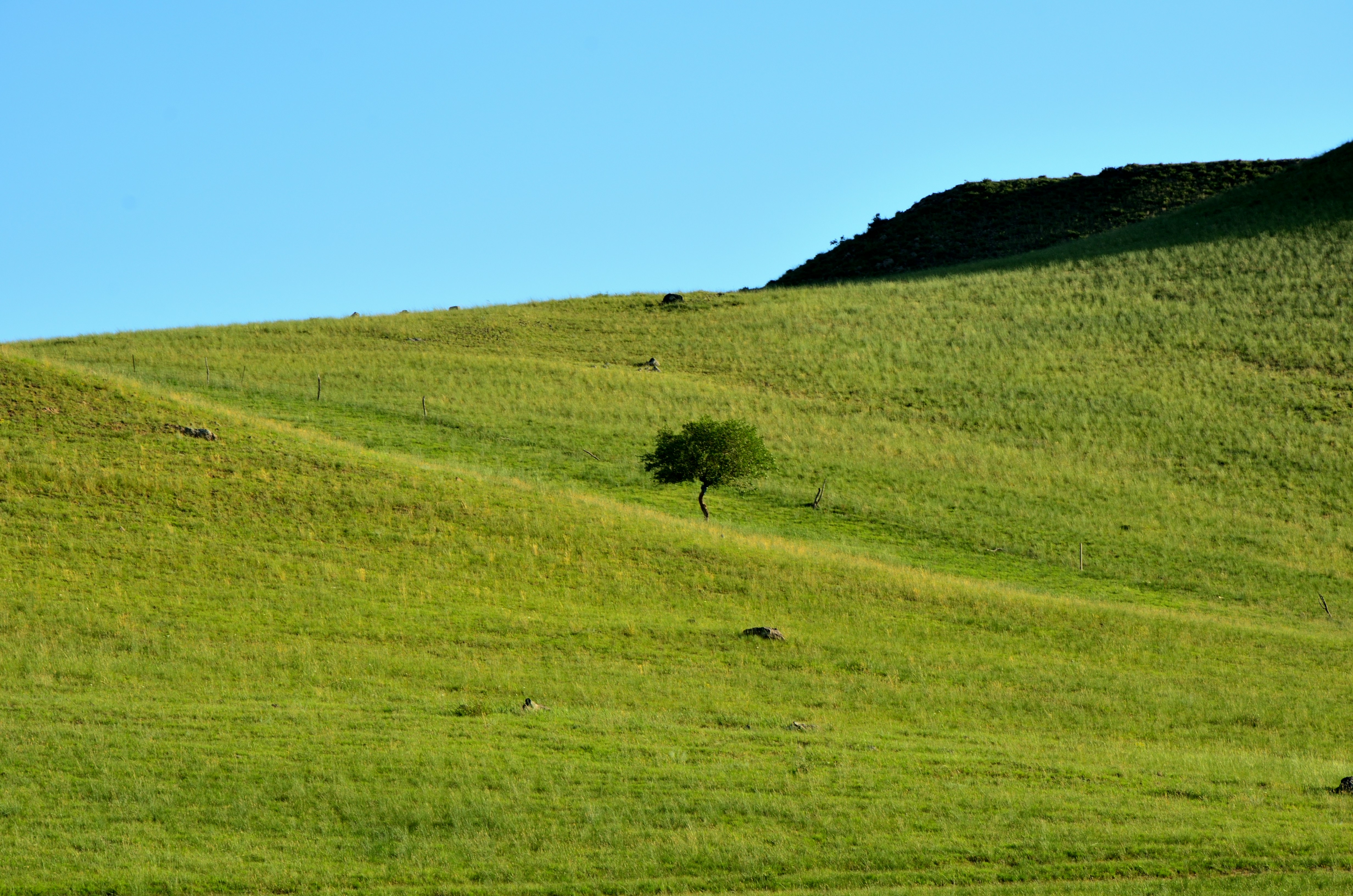 Photo by charleschina