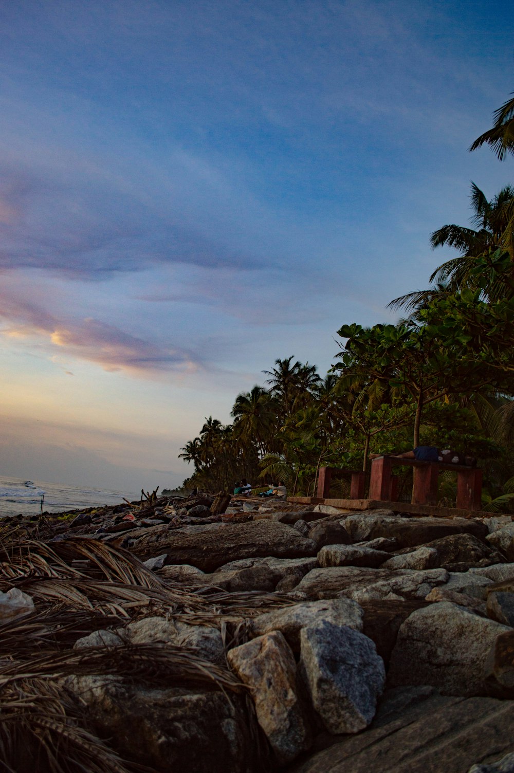 a beach with rocks and palm trees at sunset