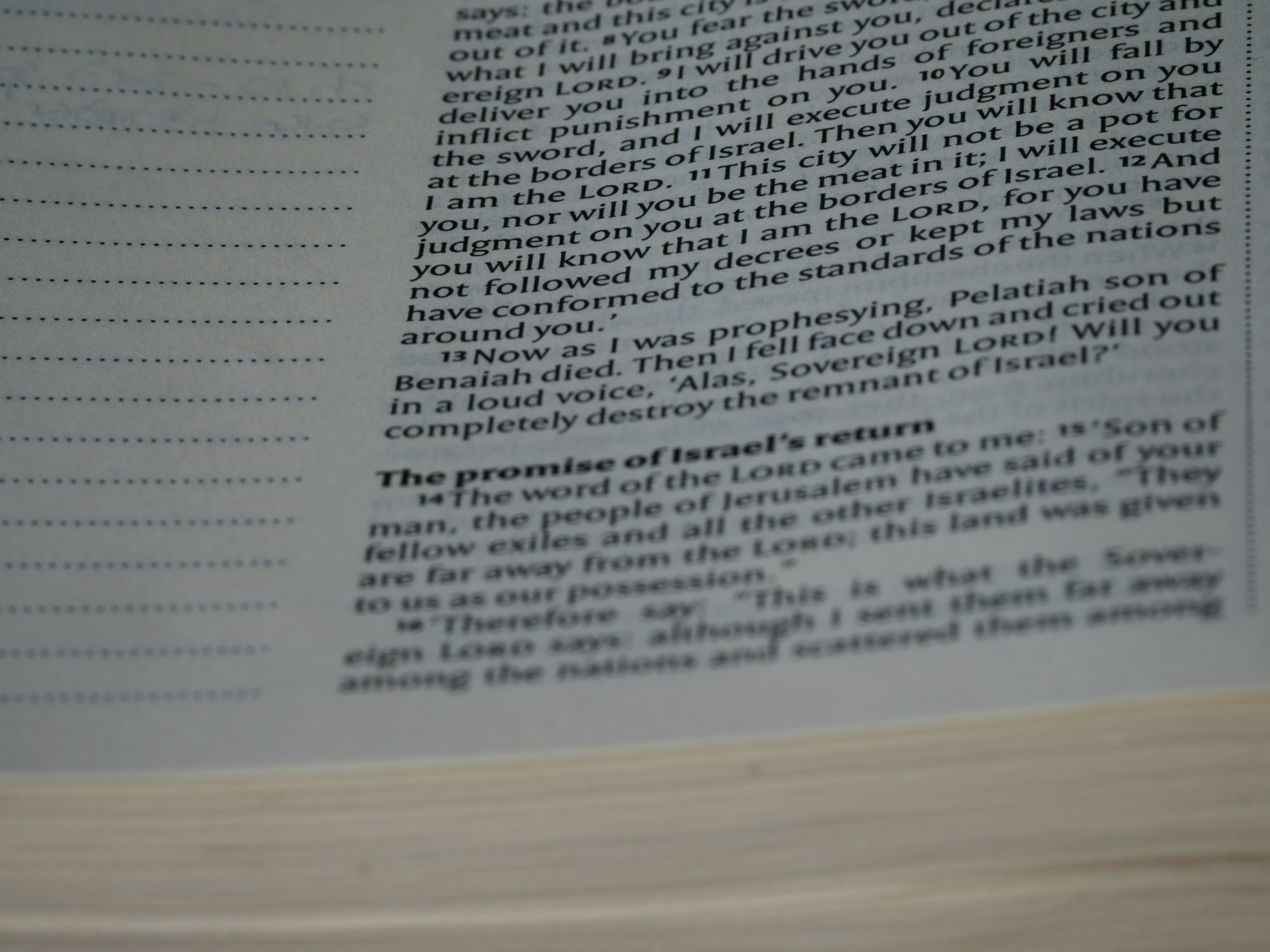 신진연구 사회과학분야 신청