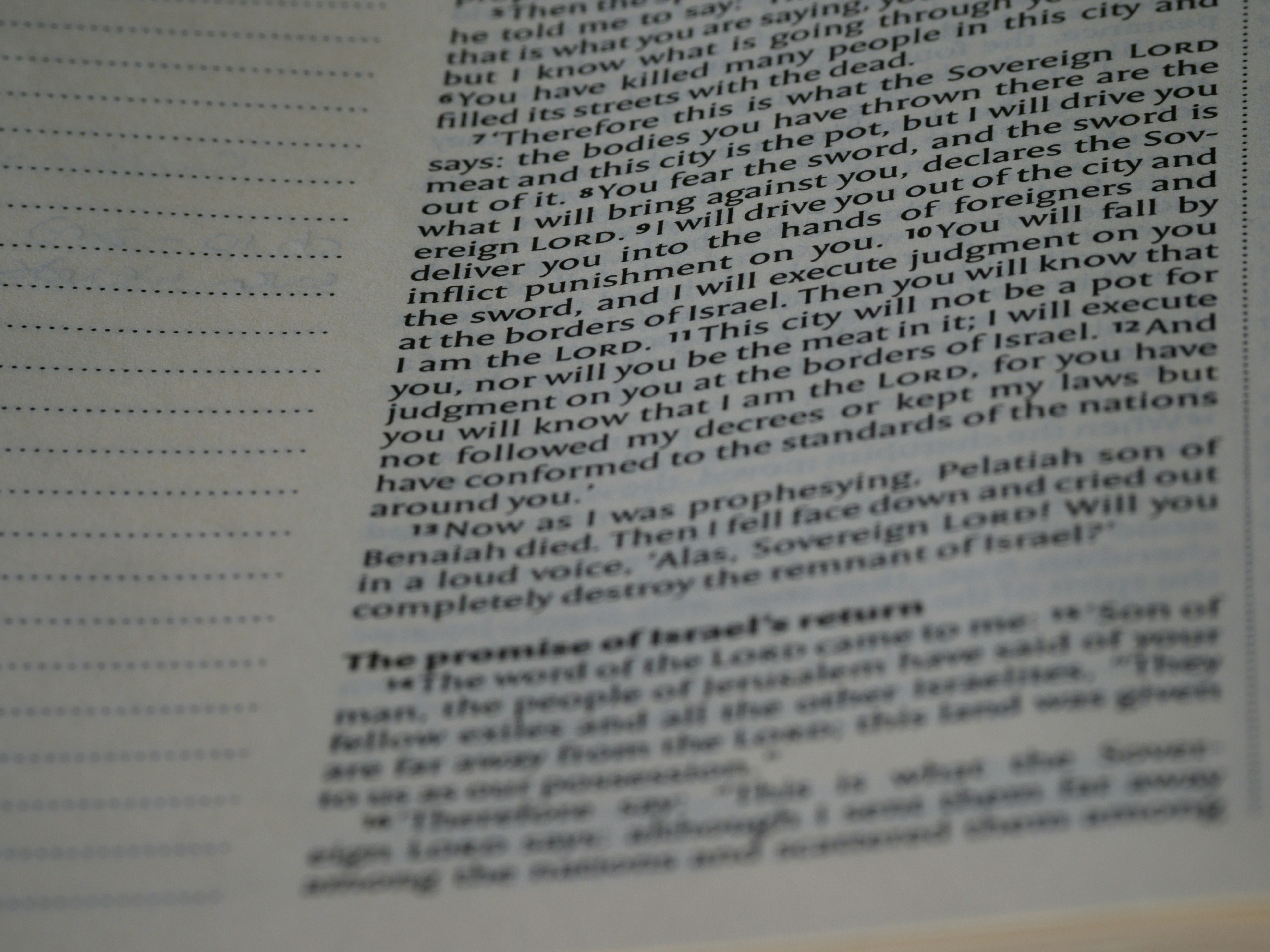 Photo by brett_jordan