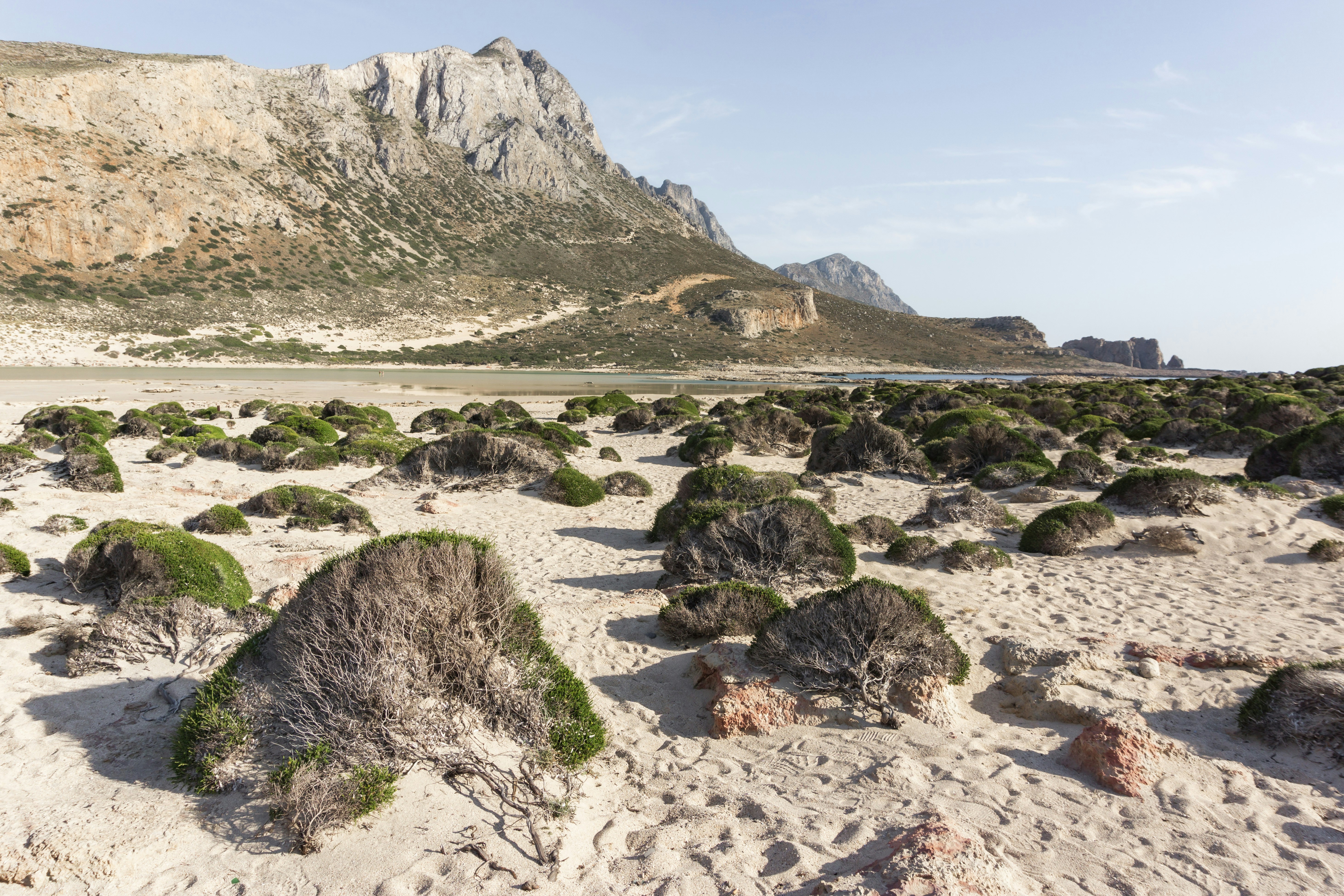 a sandy beach with a mountain in the background