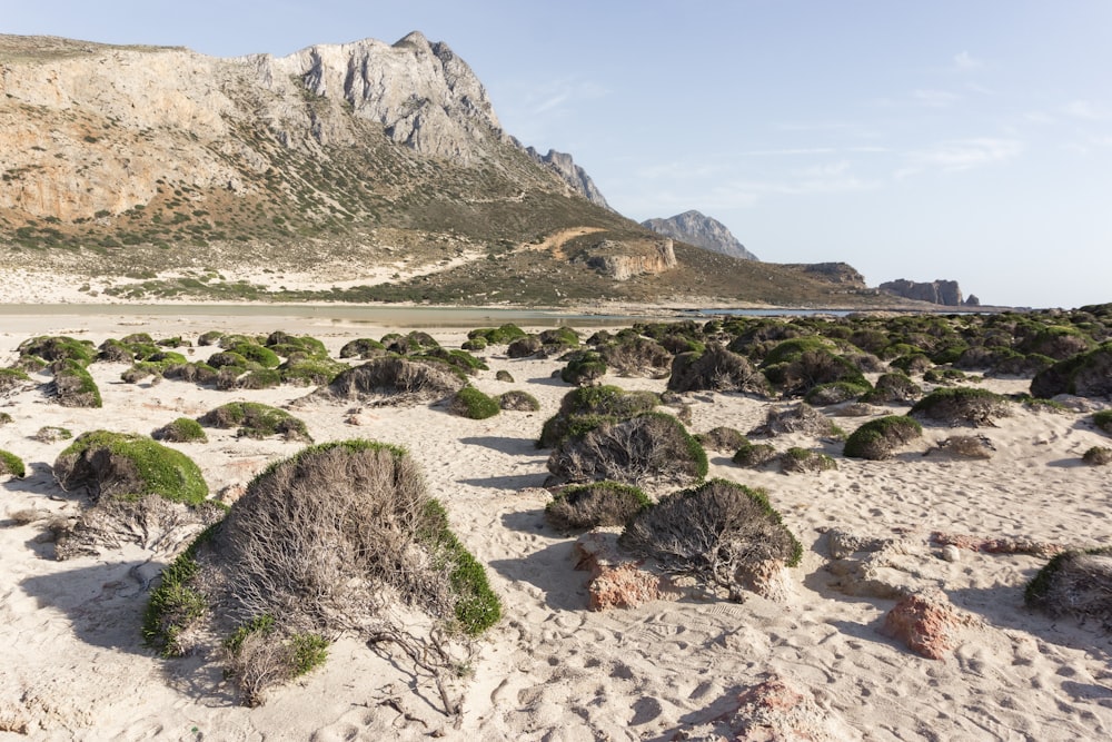 a sandy beach with a mountain in the background