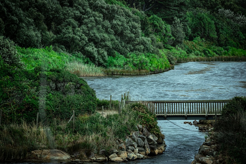 Un puente de madera sobre un río junto a un frondoso bosque verde