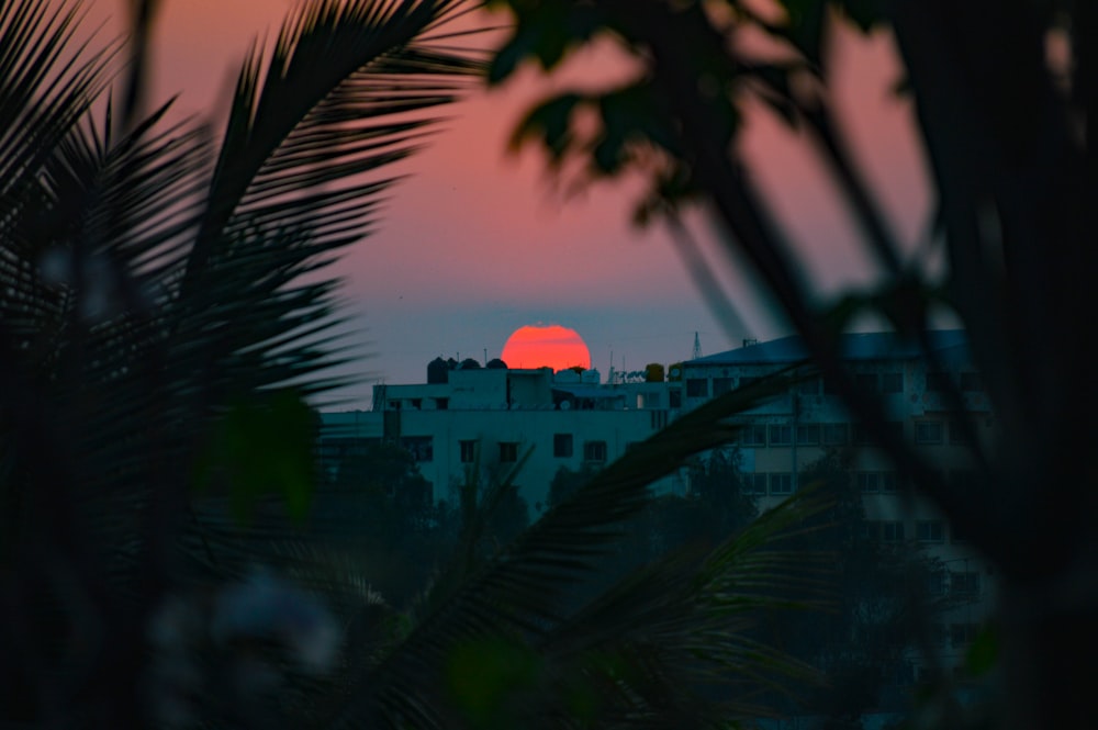 the sun is setting over a city with palm trees