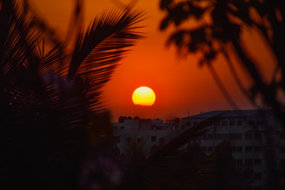 the sun is setting over a city with palm trees