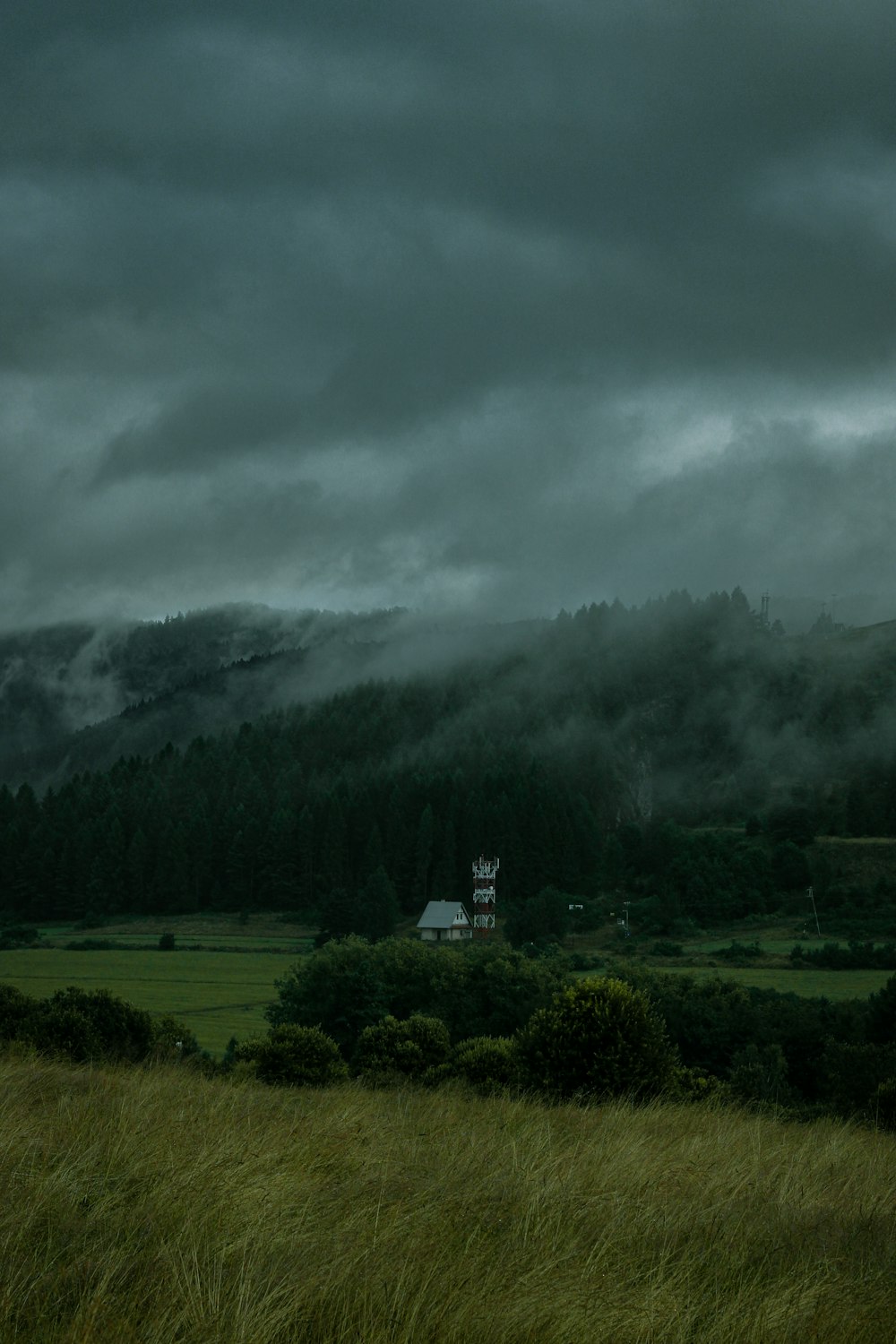 a house in the middle of a field with a mountain in the background