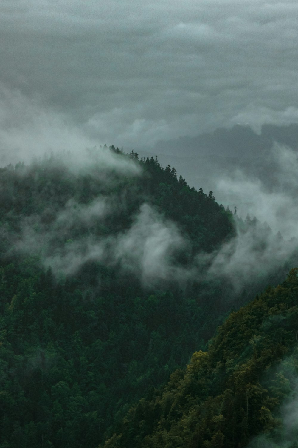 a mountain covered in fog with a forest below