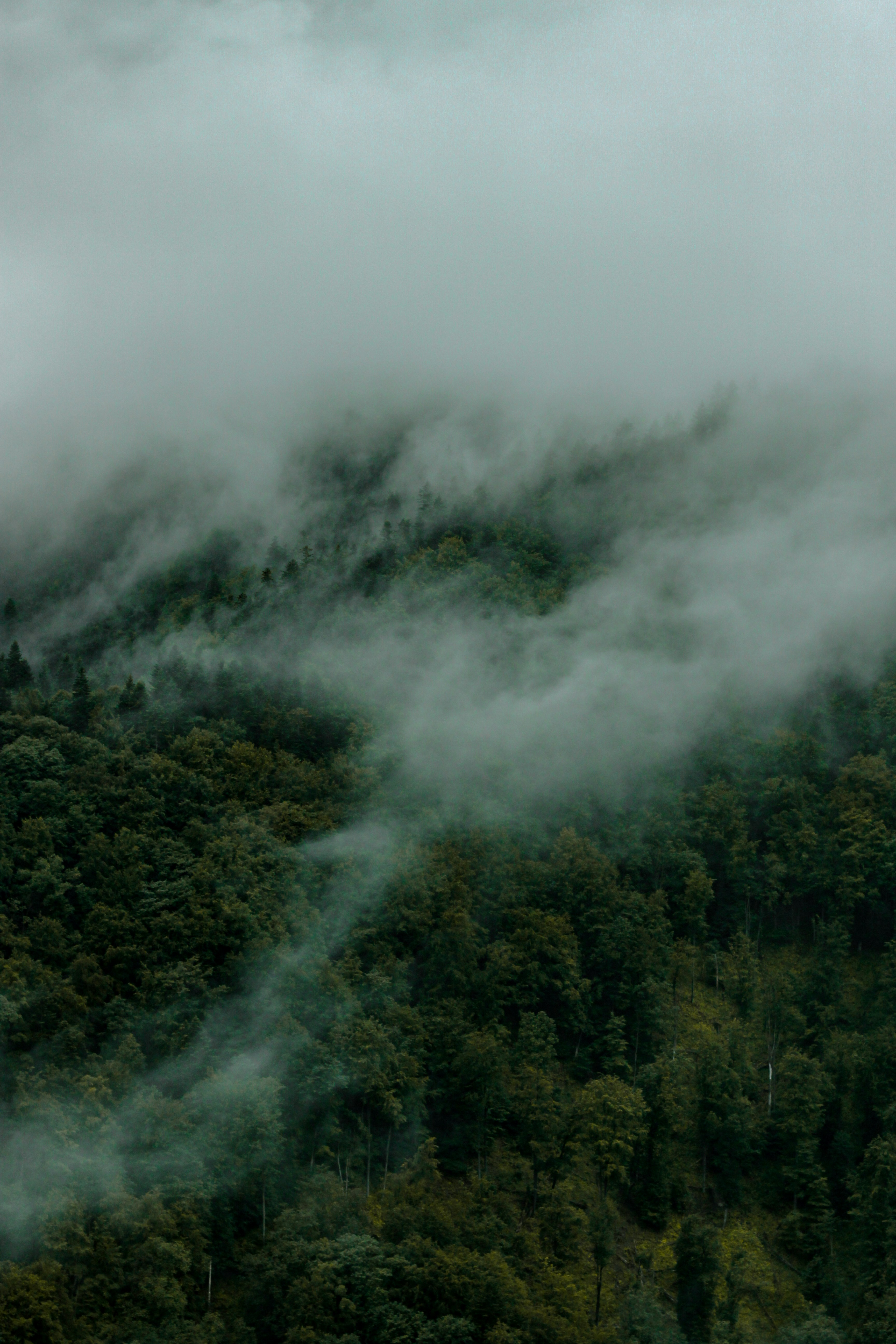 Photo by szymonek_wierzcholek