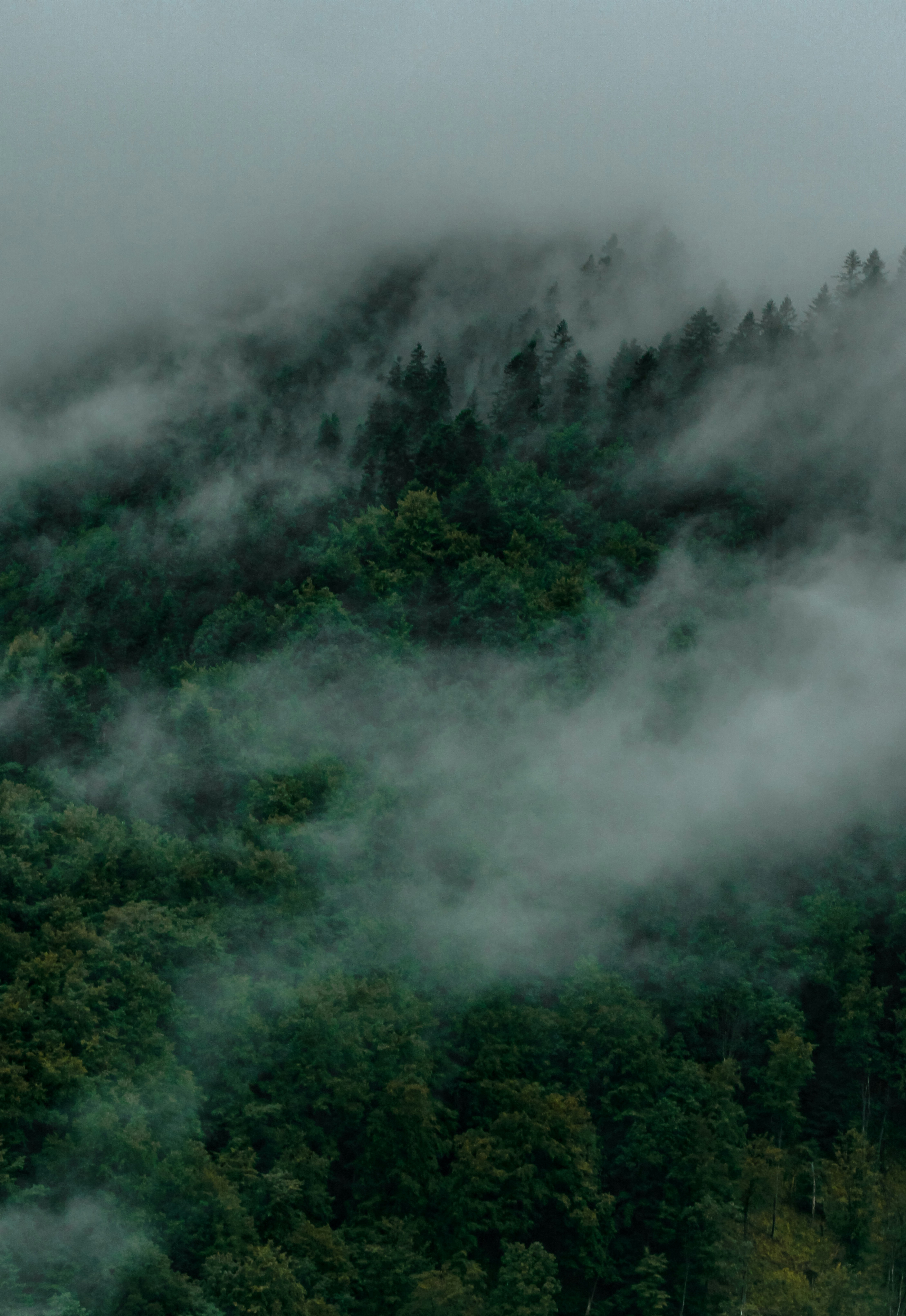 Photo by szymonek_wierzcholek