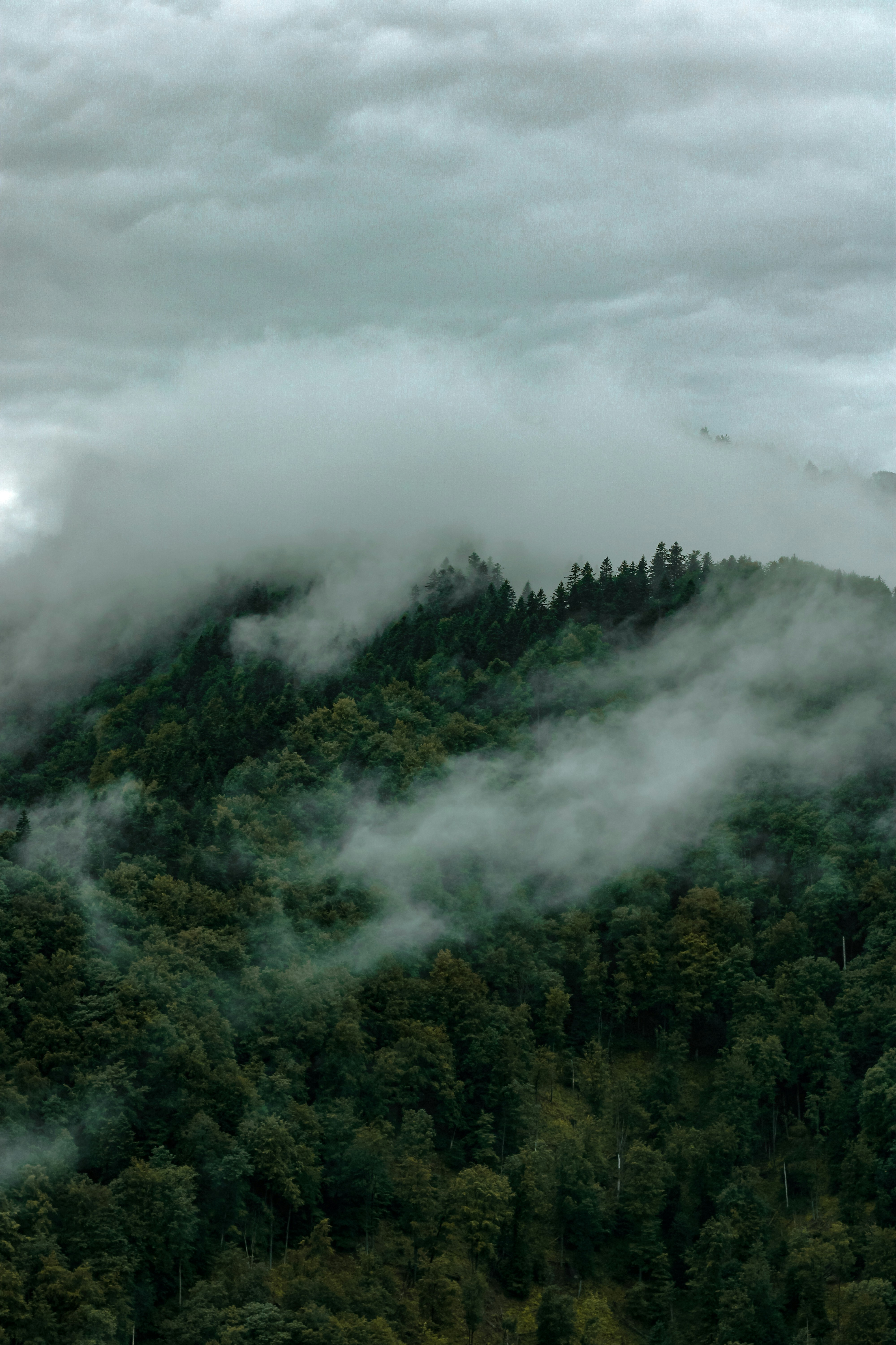 a mountain covered in clouds and trees on a cloudy day