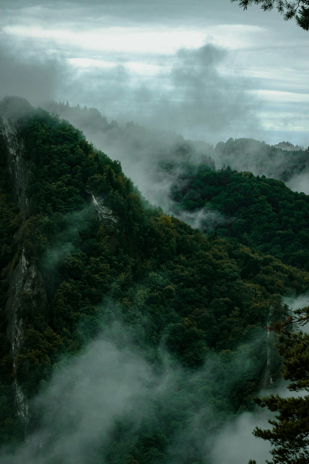 a view of a mountain covered in fog