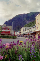 a town with a mountain in the background