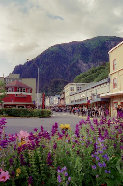 a town with a mountain in the background