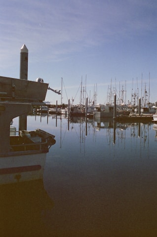 A calm harbor with boats docked under a clear blue sky.