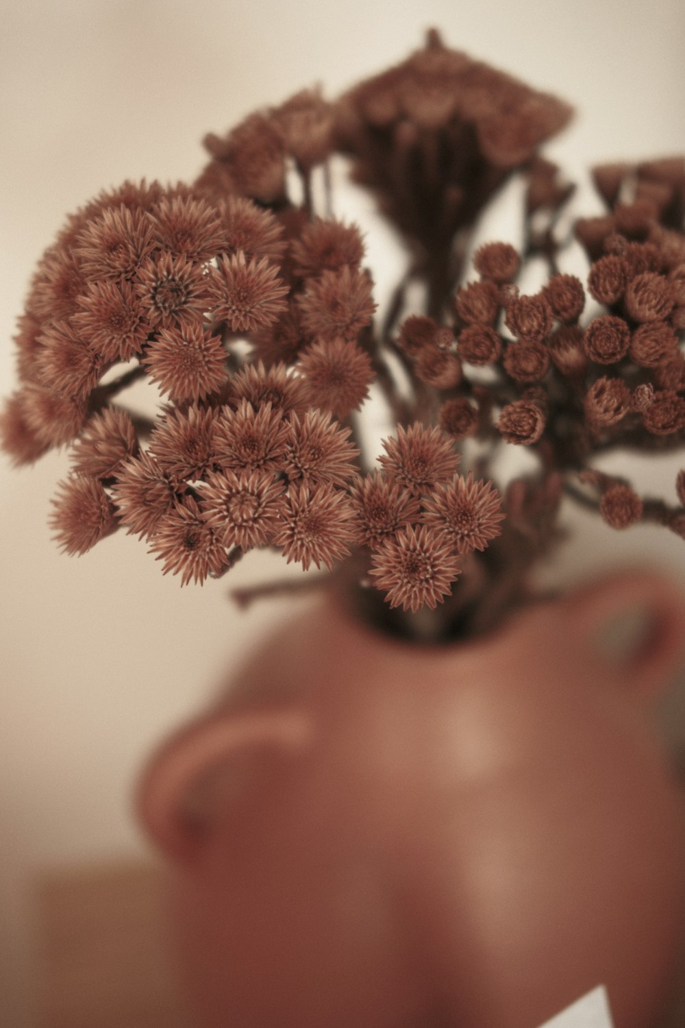 a close up of a vase with flowers in it