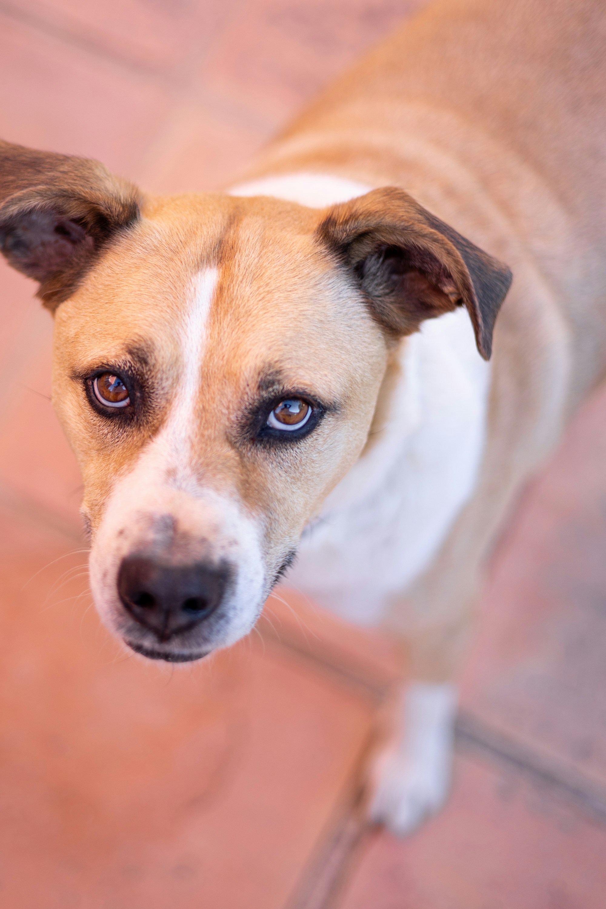 Photo by filipp_roman_photography