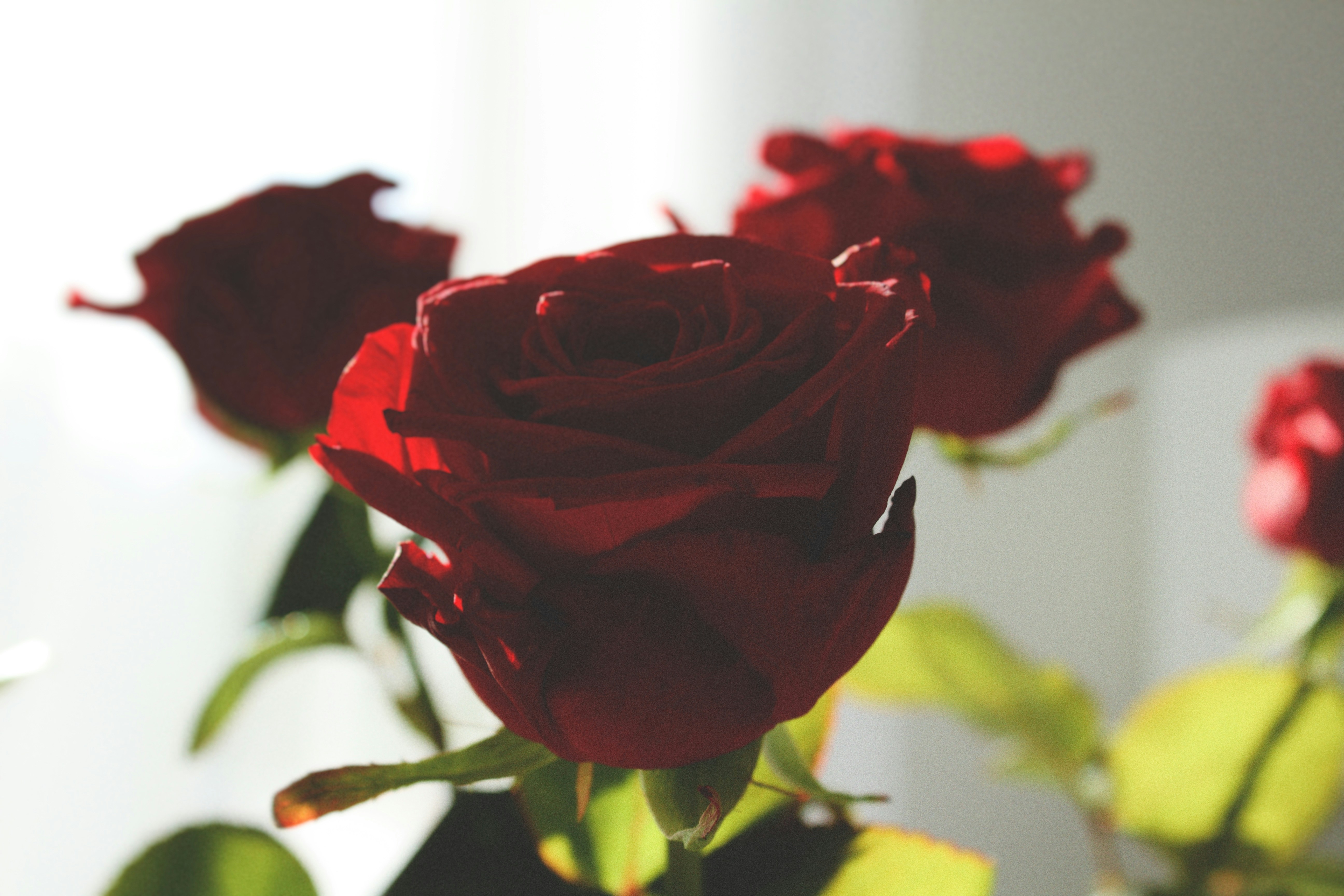 Photo by maximyuryshev