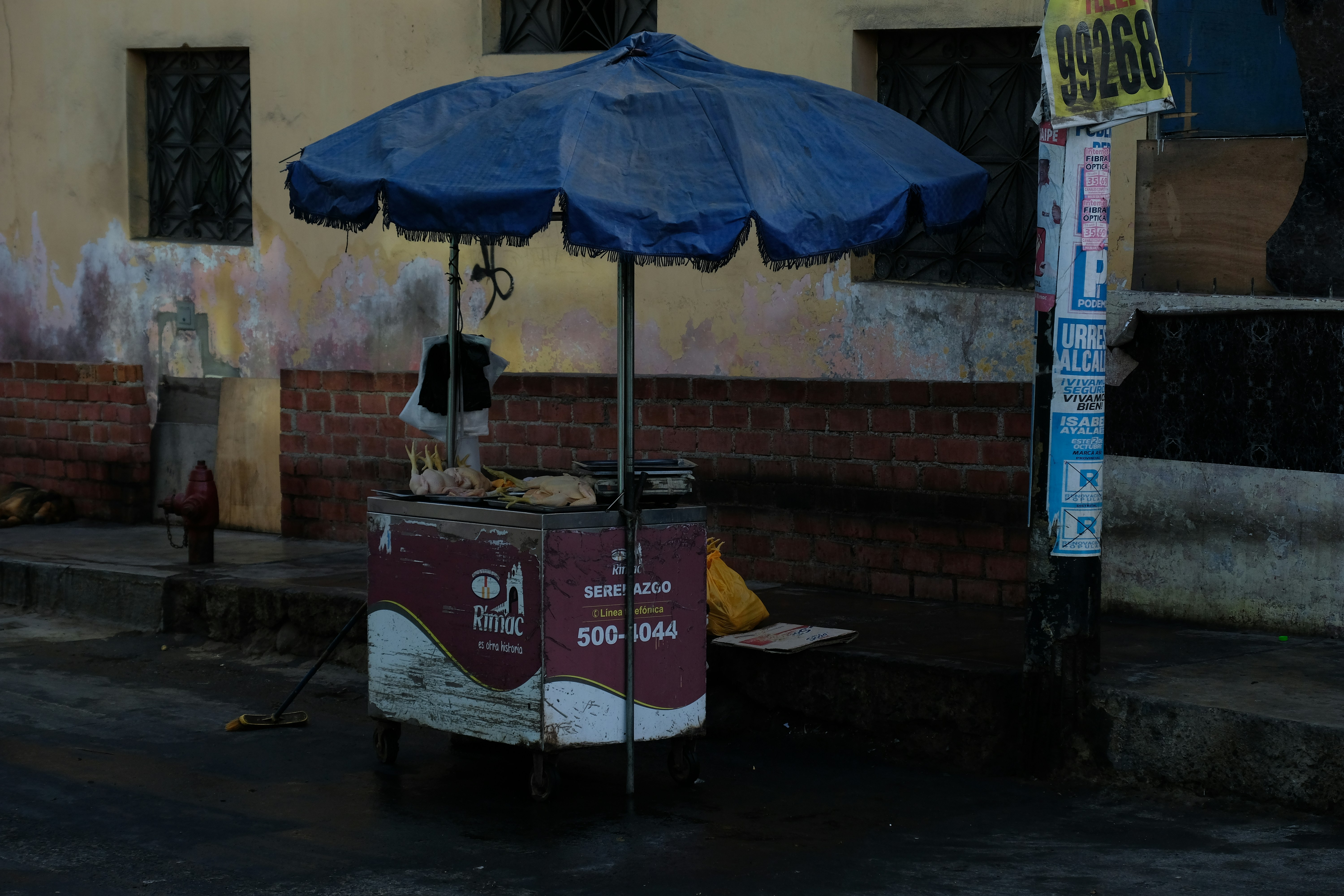 a street vendor selling food under a blue umbrella